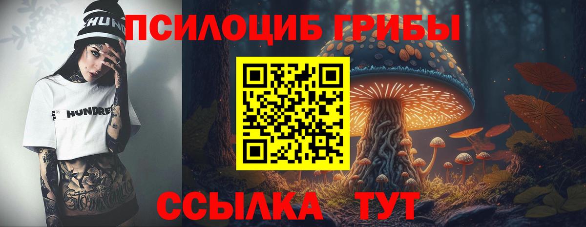 Галлюциногенные грибы Psilocybine cubensis  Вход с VPN  Россия 